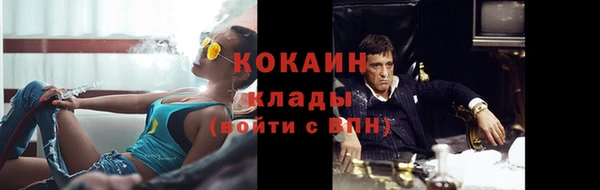 гидра Заводоуковск