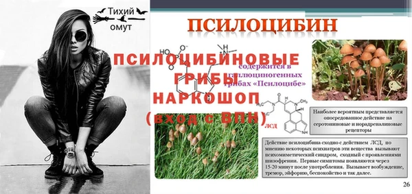 гидра Заводоуковск
