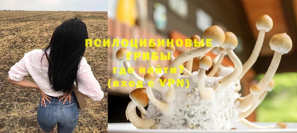 гидра Заводоуковск