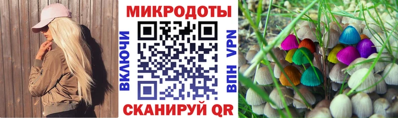 Псилоцибиновые грибы прущие грибы  Купить  Крымск 