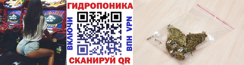 Купить где  Крымск  Бошки Шишки SATIVA & INDICA 